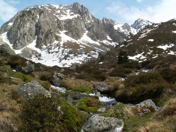 Plaa de l'estradère